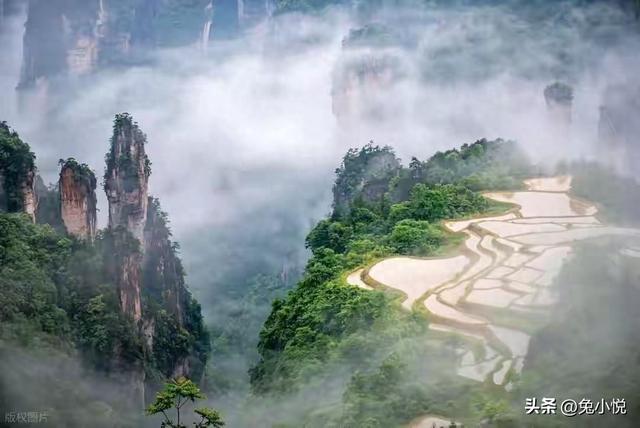 湖北没想到，广东也没想到，现在的中国湖南省，已成为全国焦点