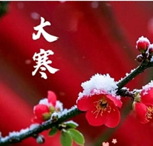明日大寒	，“ 公大寒，春节脱衣；母大寒，春节冷哭	”。今年大寒呢