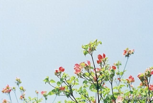 84岁的奶奶说：不要去体谅任何人，特别是你的父母，吃力不讨好