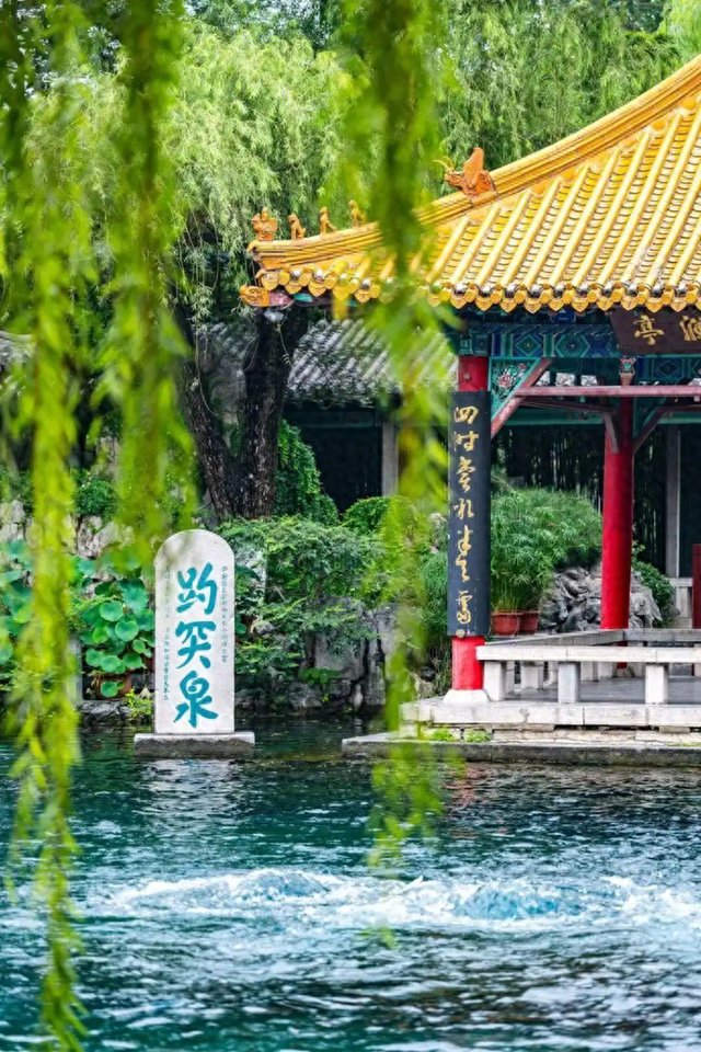 我与黄河文化地标｜苏轼打卡趵突泉，题“枯木一枝”