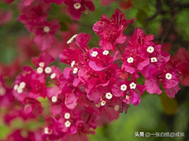 关于工作正能量的句子集锦（15句正能量励志句子）