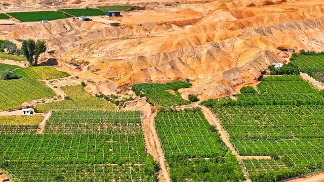 美国50年砸钱无果，中国钍基熔岩堆落地，掀翻全球旧秩序