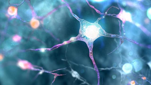 机器人更像“人”！美国专家邪恶计划曝光，未来机器人恐替代人类