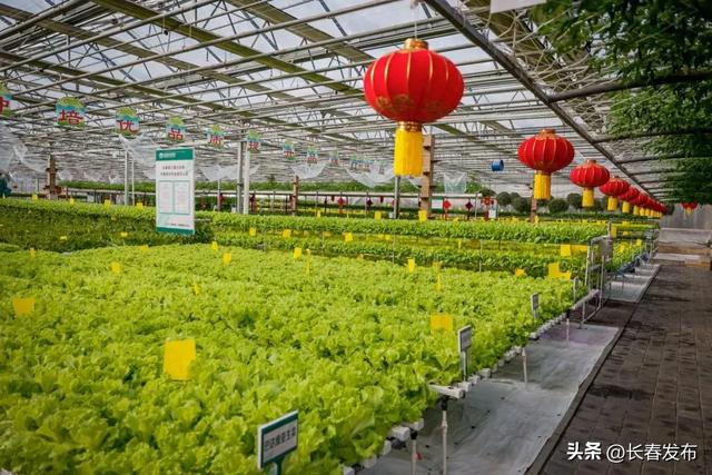 走进长春！150个网红打卡地之长春农业博览园