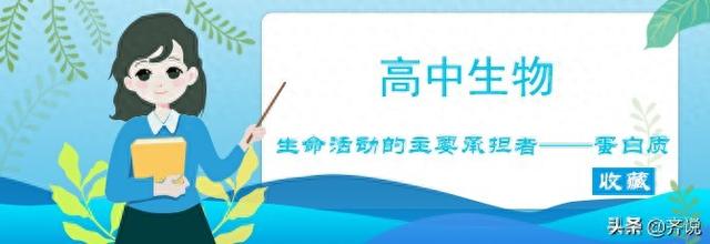 志鸿优化高中生物（高中生物知识点生命活动的主要承担者蛋白质）