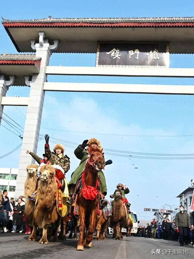 东天山骆驼队凯旋了，他带给我们的启示应该留下