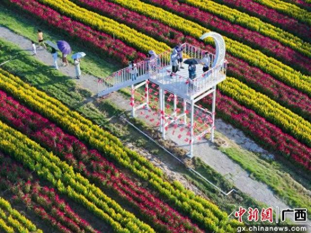 广西富川国庆中秋假期实现旅游综合收入约4.67亿元