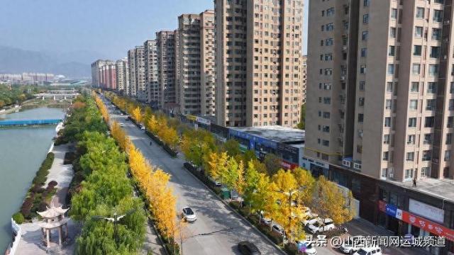垣曲县：美丽山城秋意浓 滨河东道银杏黄