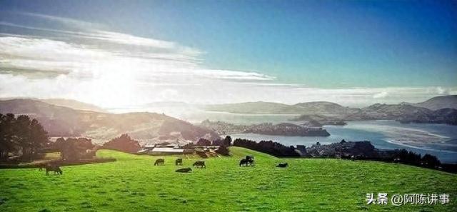 为何说新西兰没几个中国人待得住？网友：待了几个月，都快疯了！