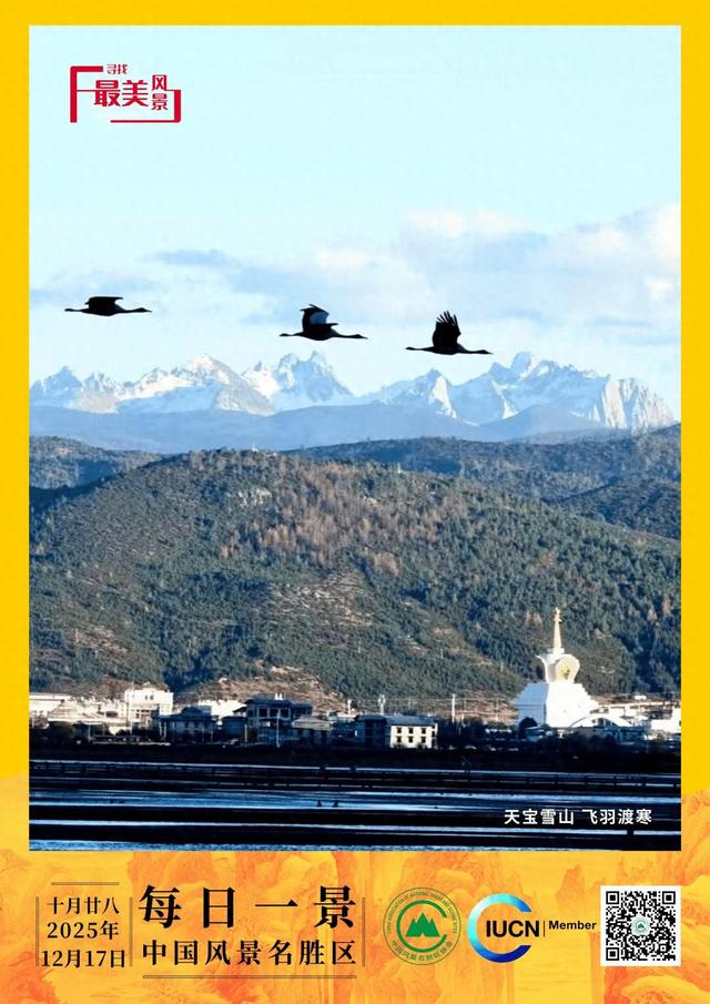 每日一景 | 天宝雪山 飞羽渡寒