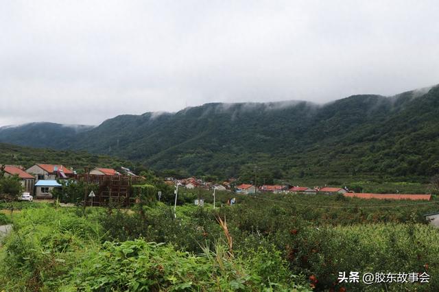 胶东见闻笔记：栖霞“唐山硼”两度游