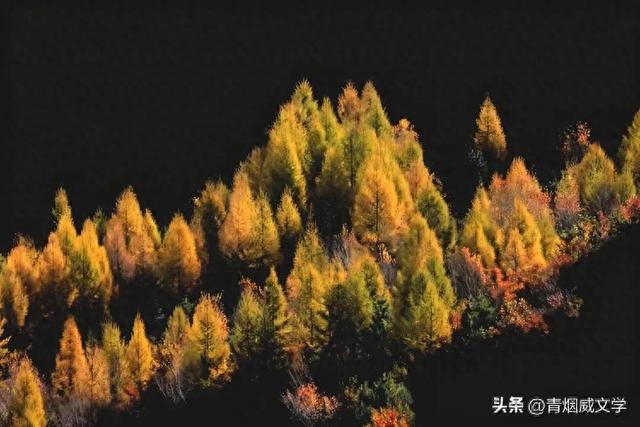怀来秋日美