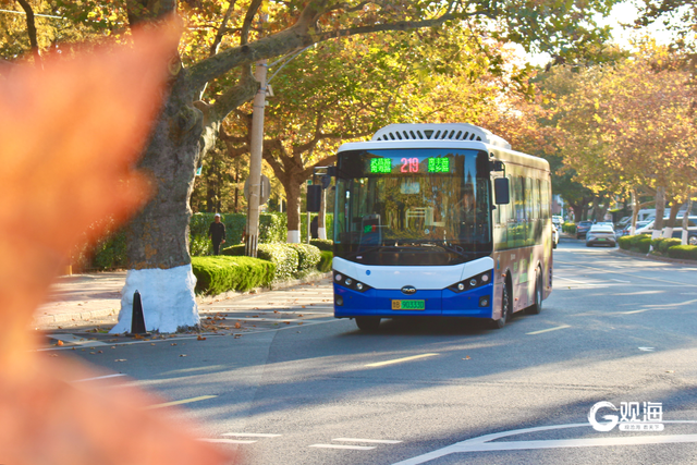 穿行八大关，青岛这条公交线开往“金色童话”世界