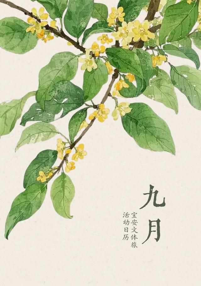 2大地标开业／3场演唱会…9月宝安，嗨起来！