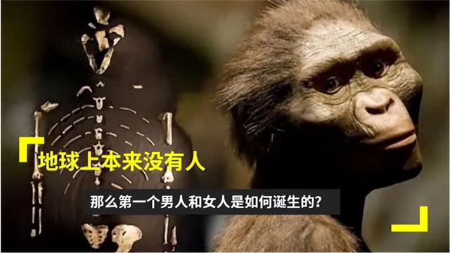 人是怎样进化的。（人类到底是如何诞生的地球上第一个人又是谁）