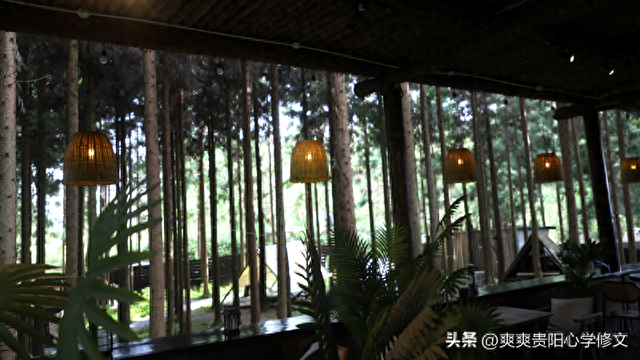 品咖啡、喝精酿、闻松香......在修文县山寻露营基地过一场20℃的慢生活