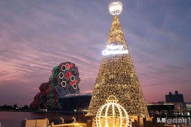 17米巨型圣诞树海景第一排美拍！灯光秀时间13大演出卡司看