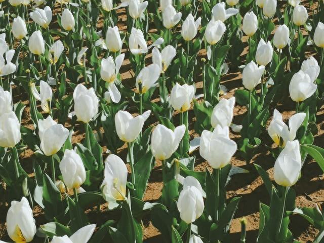 2025年10月28日 第48页