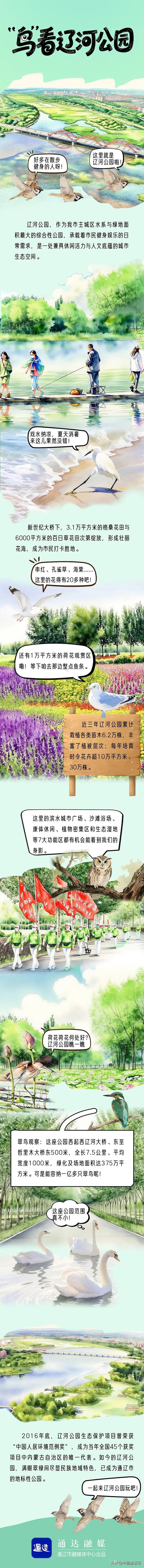 “鸟”看辽河公园