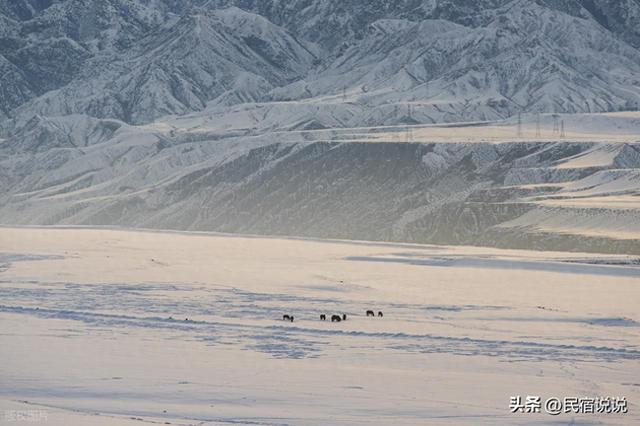 尔滨很赞，但新疆的冰雪季也超级惊艳啊！