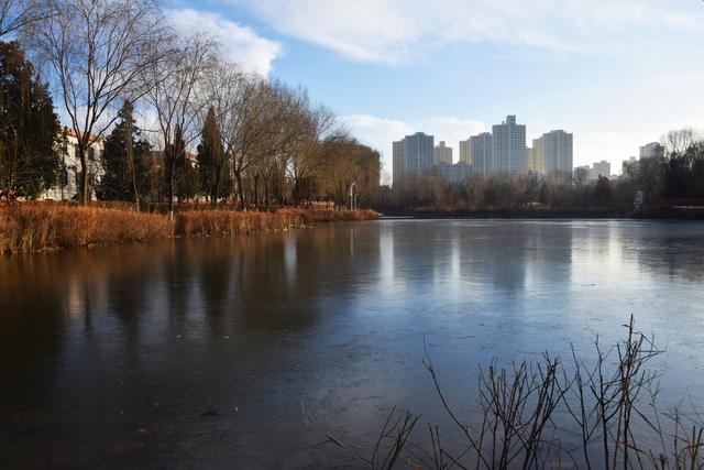 ​组图丨西郊公园的冬日慢时光