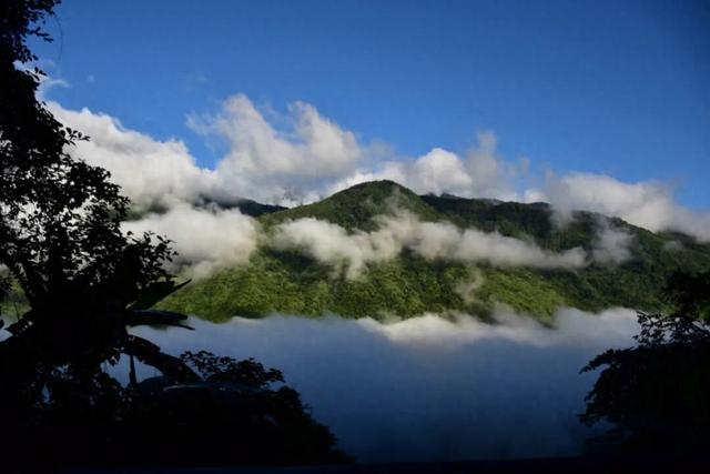 比格林童话更美！墨脱这个村坐拥雪山茶园秘境
