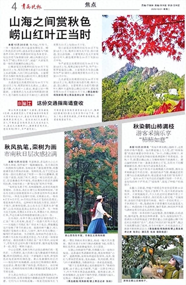 山海之间赏秋色 崂山红叶正当时