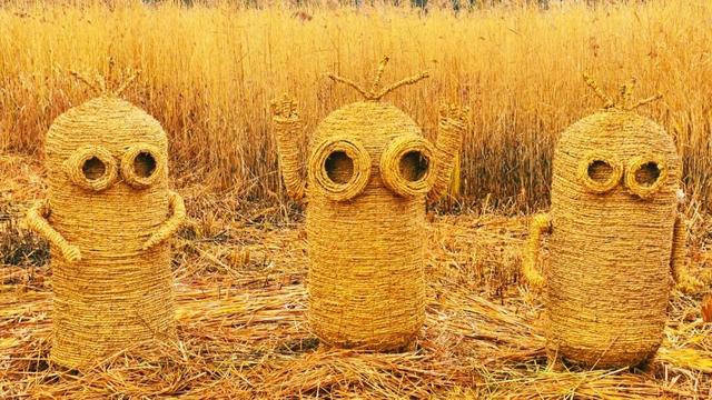 一场“叶舞+稻草”的双重奇遇！北京园博园秋游正当时——