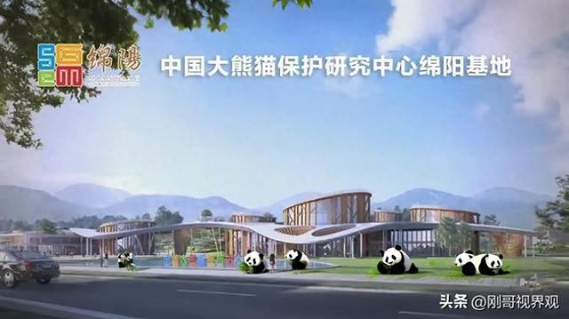@绵阳人 绵阳熊猫基地门票价格征求你的意见。