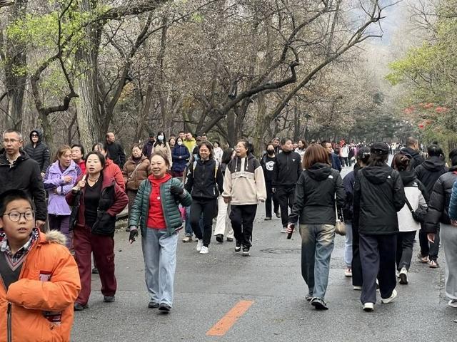 双休日全约满！千山圈粉众多鞍山游客