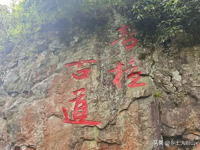 藏在大别山里的青檀古道，如今很多人不知道这条古道了！