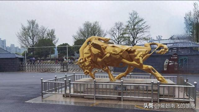 《乙巳初夏郁金香的绚烂乐章》