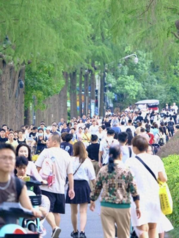 日出东方月上湖，东湖推出水陆联动系列节庆活动