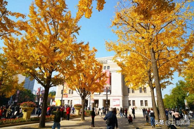 市中心的“金色会客厅”，成为了最欢乐的海洋！