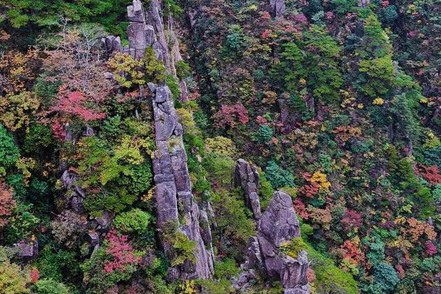 最新！11月黄山风景区开放时间、索道运营时间发布
