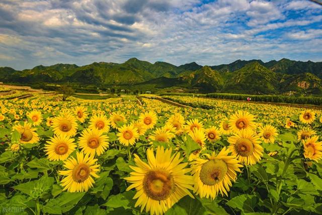 北京人，去了平谷跟蓟县，实话实说：平谷跟蓟县差别明显！