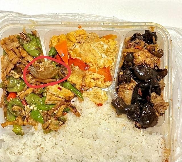 北京下了死命令	，2027年底前，所有中小学必须告别“校外配餐	”