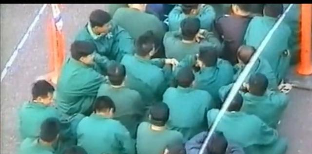 58条生命被锁进冷藏车！20年前的惨案，至今让人脊背发凉