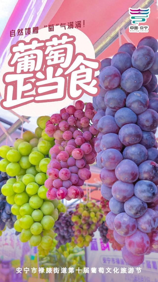 禄脿萄宴，乐享盛夏