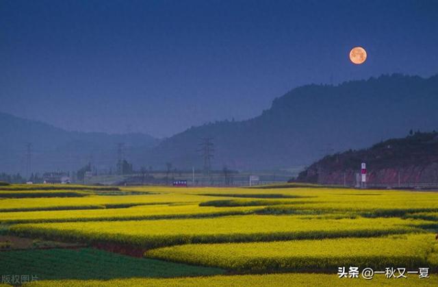错爱一生（十）