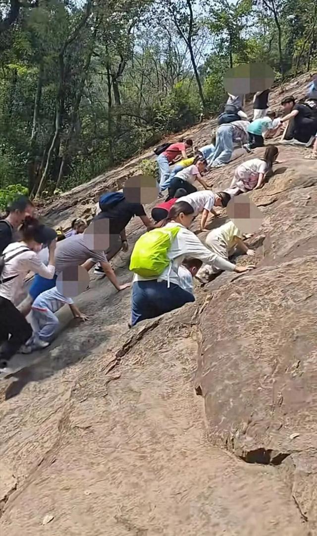 带娃野爬“绝望坡”：练胆还是赌命？