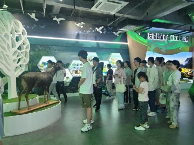 科技赋能生态守护，硒茶文化驱动创新