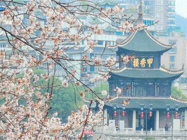 爽玩南明丨南明区：四季有花绘美景 绽放文旅新活力