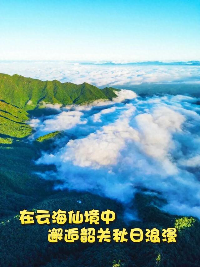 韶关晚秋“神仙景致”：云海、奇峰、秋叶奏响绝美“三重奏”！