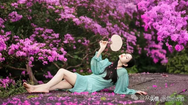 是时候去听禅音闻花香了！中国最帅和尚所在的普安禅寺又逢紫薇开