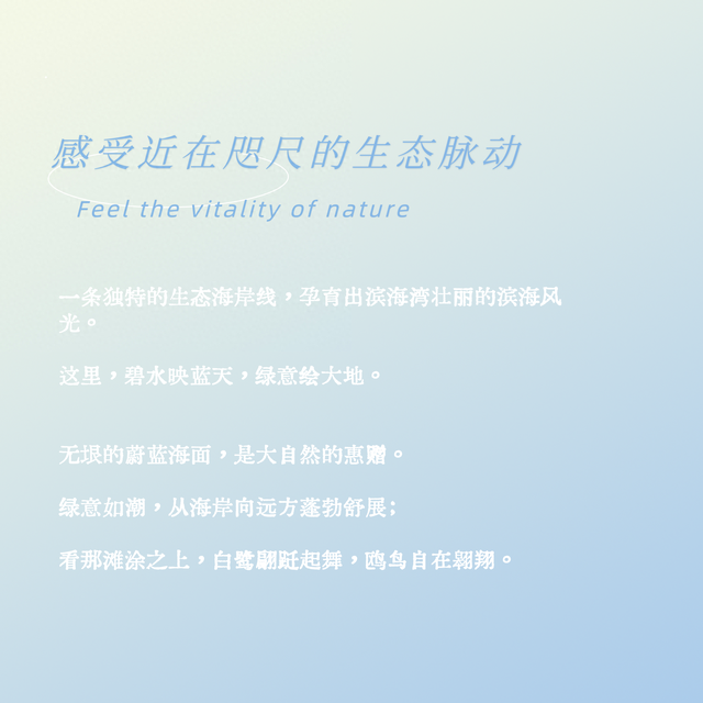 长图｜全国生态日，一同感受滨海湾近在咫尺的生态脉动