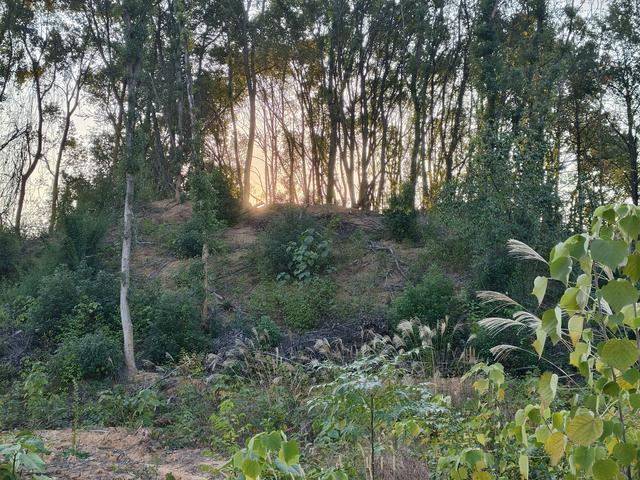 历史变迁，岁月留痕，到访衡阳县道子坪一号晋墓:银山