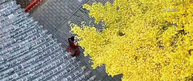 邹城这里刚拍到的......