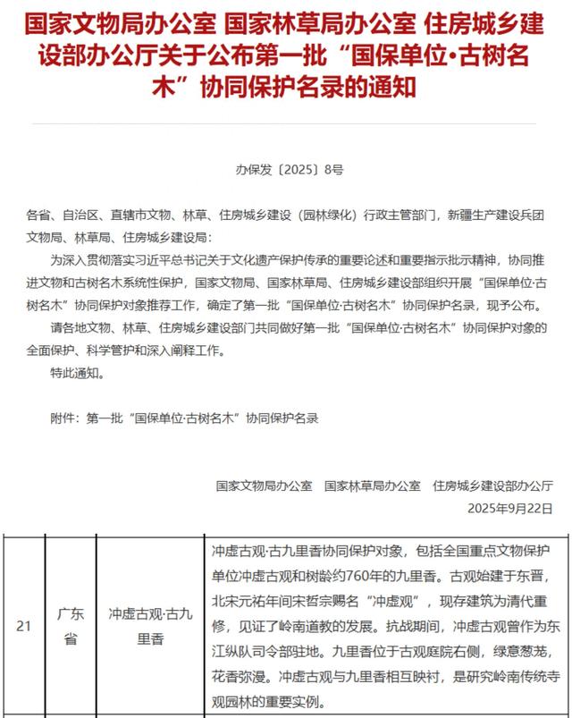 广东首批！罗浮山冲虚古观·古九里香入选协同保护名录