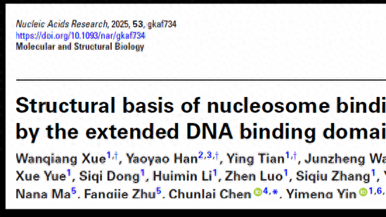 冷冻电镜捕捉关键画面！我国科学家首次解密RFX5调控基因“胶卷”分子机制